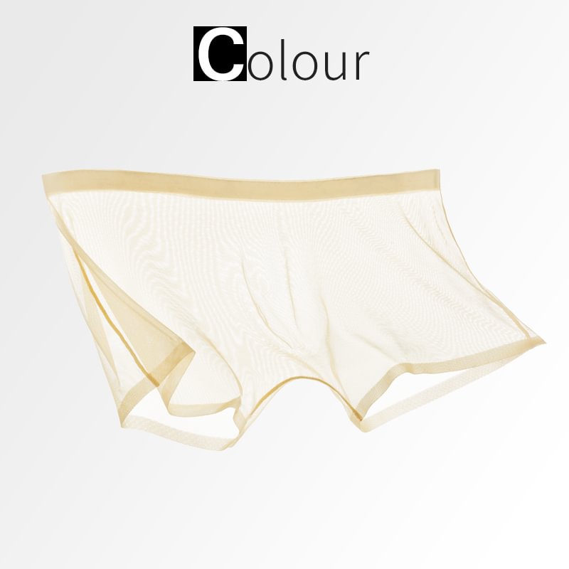 SilkFlex - Lightweight Mesh Boxer Underwear