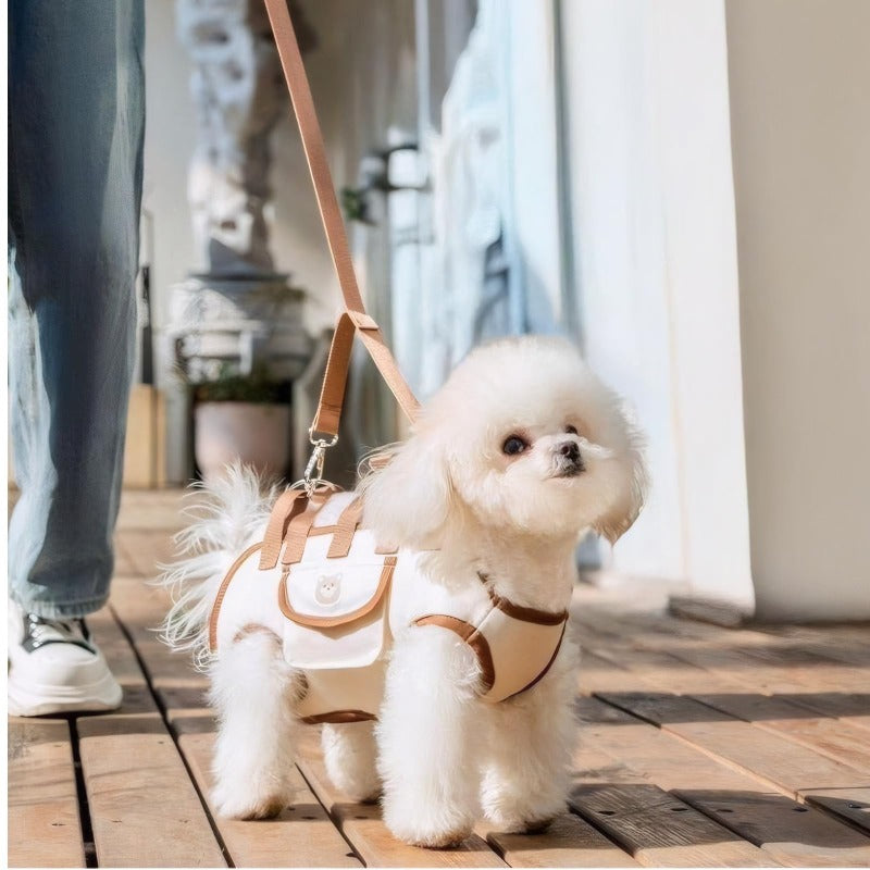 PawPort – Crossbody Pet Carrier Harness