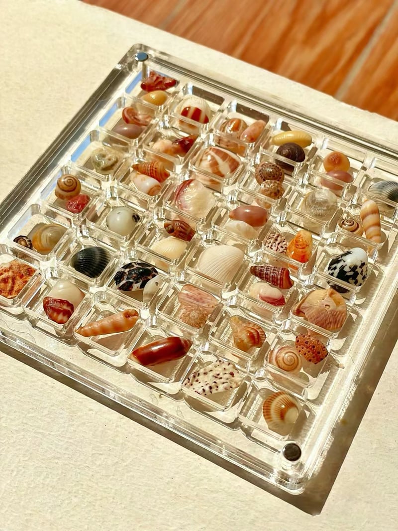 AquaFrame – Acrylic Display Case for Seashell Treasures