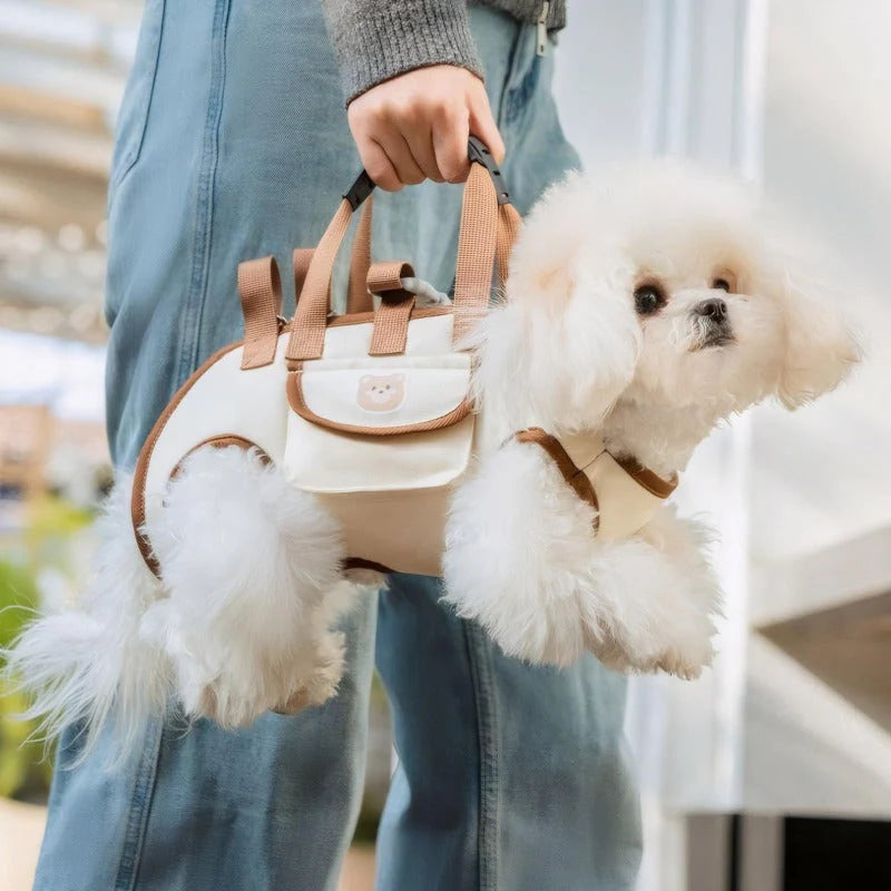 PawPort – Crossbody Pet Carrier Harness