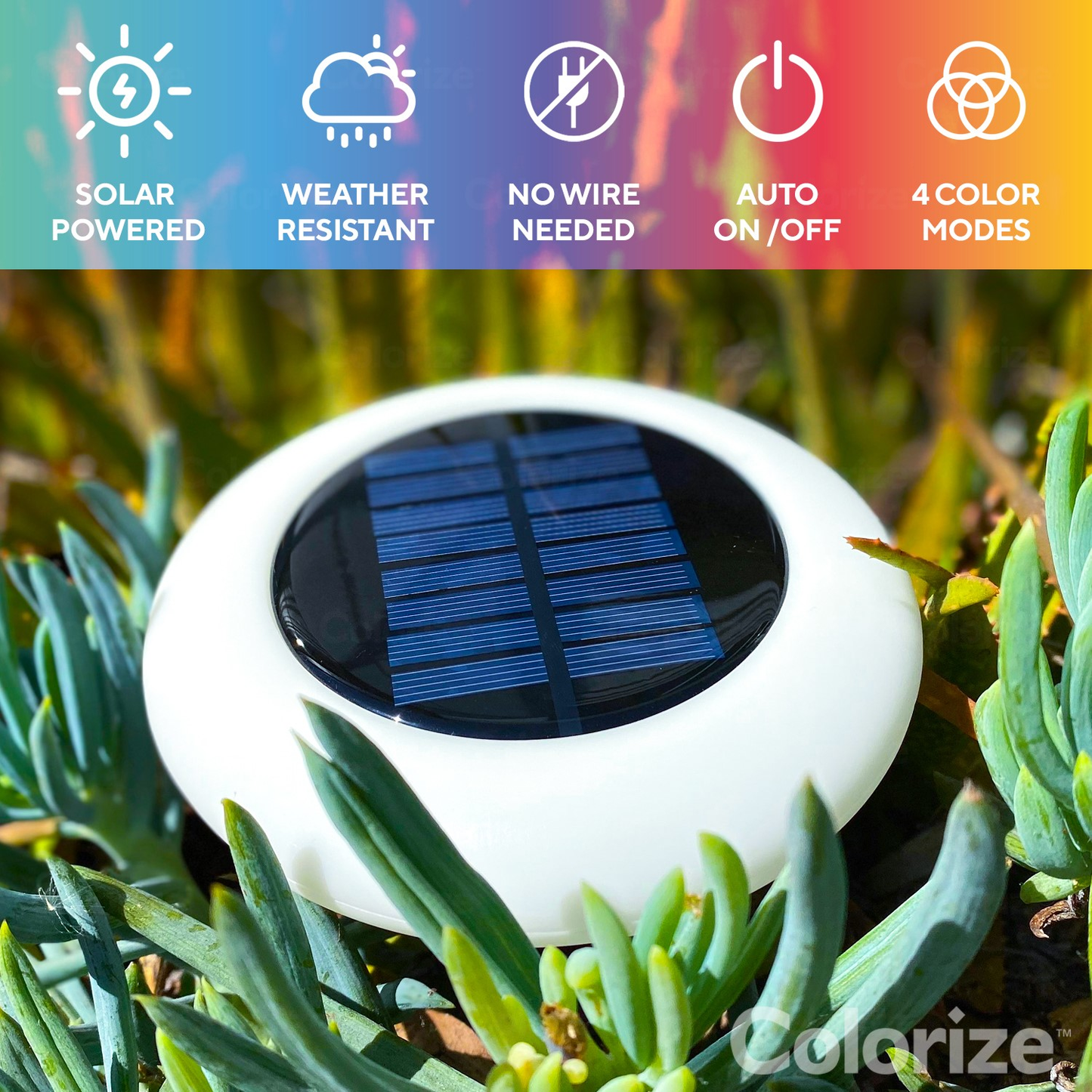 SolarGlow – Vibrant Outdoor Color Lights