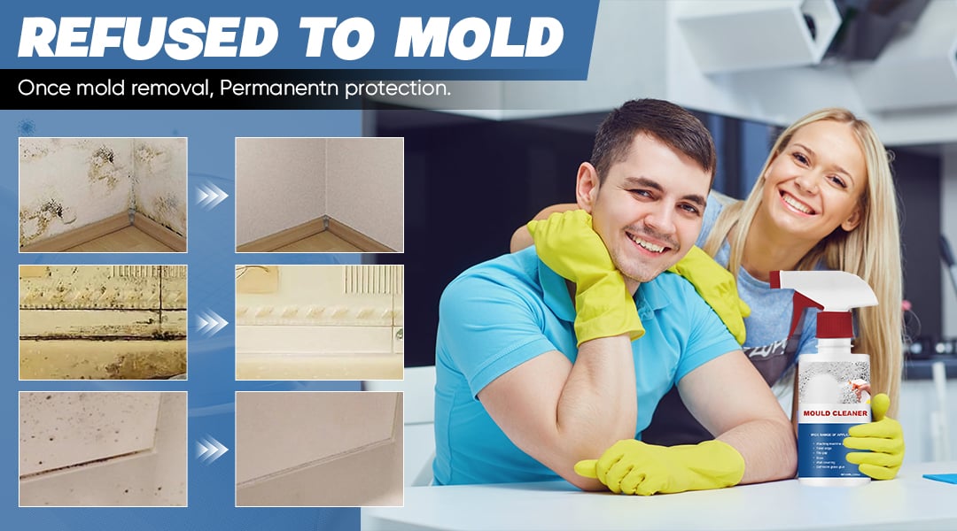 FoamClean - Multi-Use Mildew & Mold Remedy