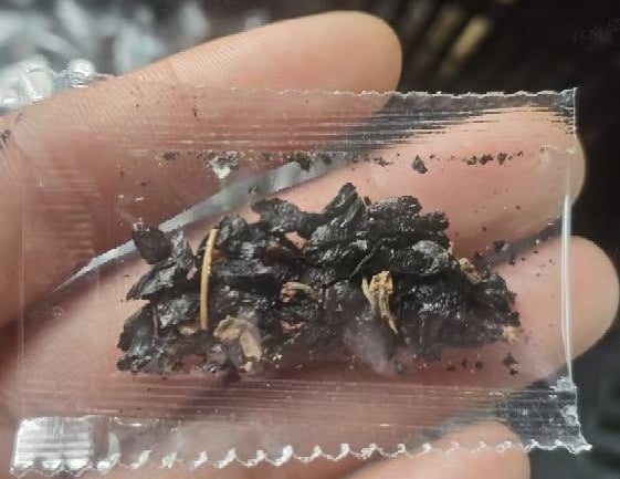 GardenZen - Heart-Shaped Leaf Seeds