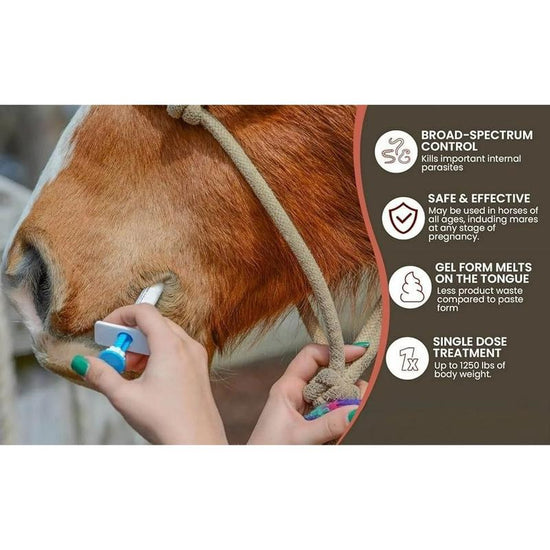 GuardianMectin - Anti-Parasite Horse Paste