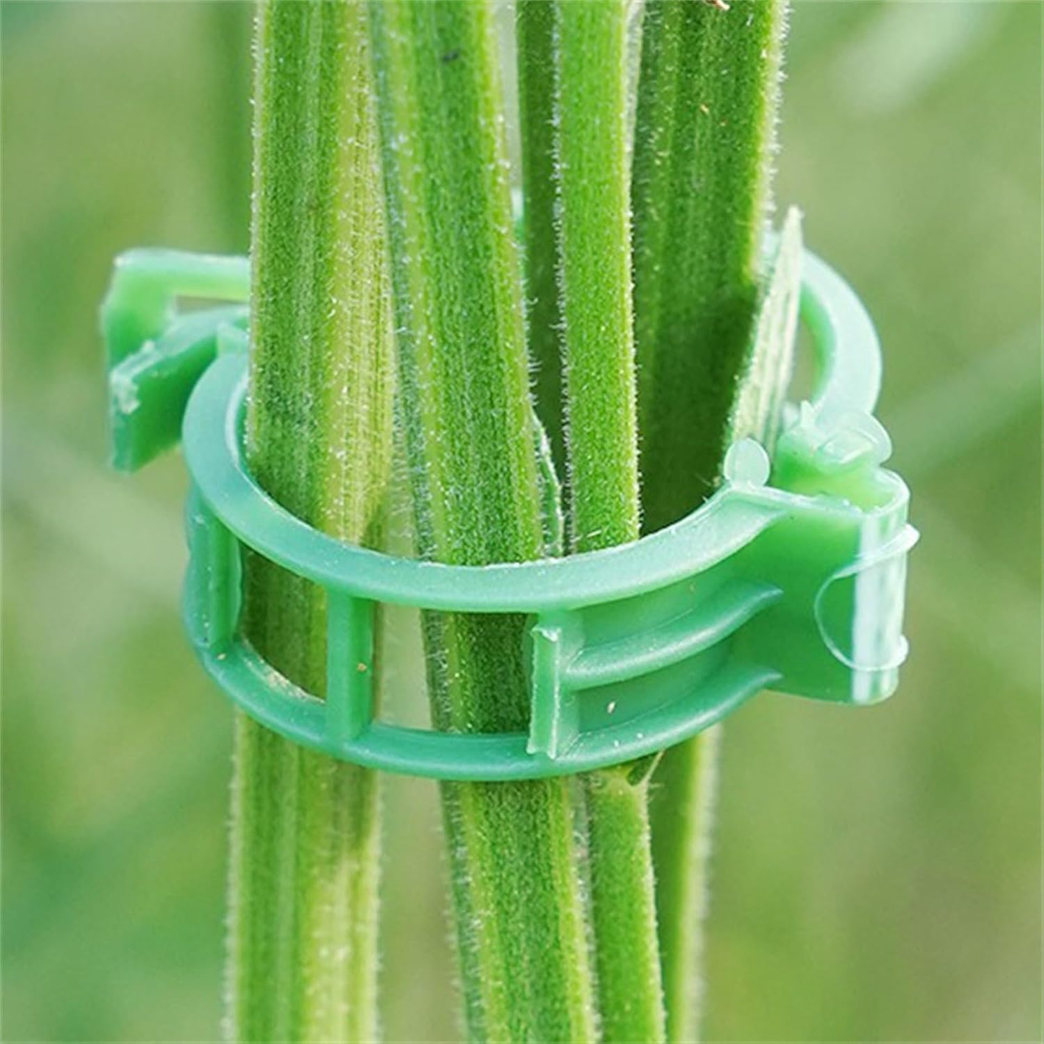 StemHold – Reusable Clips for Upright Plants