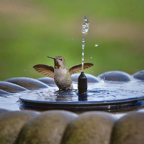 EcoRipple - Solar Garden Fountain