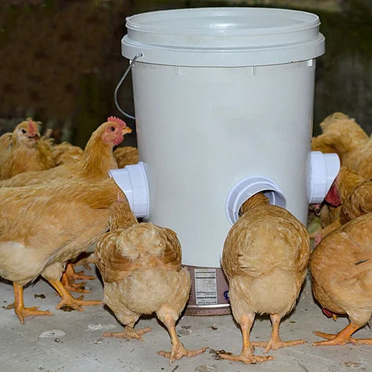 FeatherFlow – Mess Free DIY Chicken Feeder