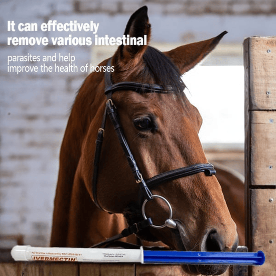 GuardianMectin - Anti-Parasite Horse Paste