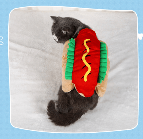 PawBun – Adorable Hot Dog Outfit for Pets