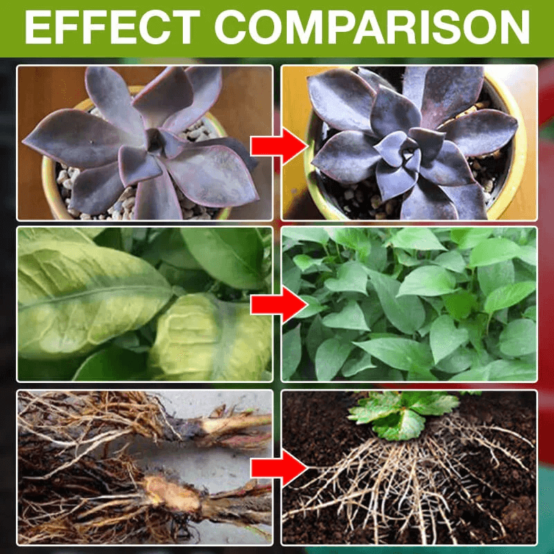 FloraFuel – Advanced Plant Growth Supplement