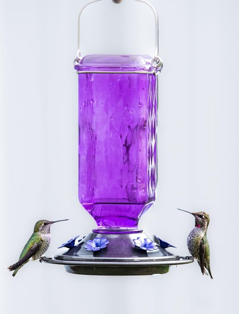 WingWhisper – Hummingbird Decorative Feeder