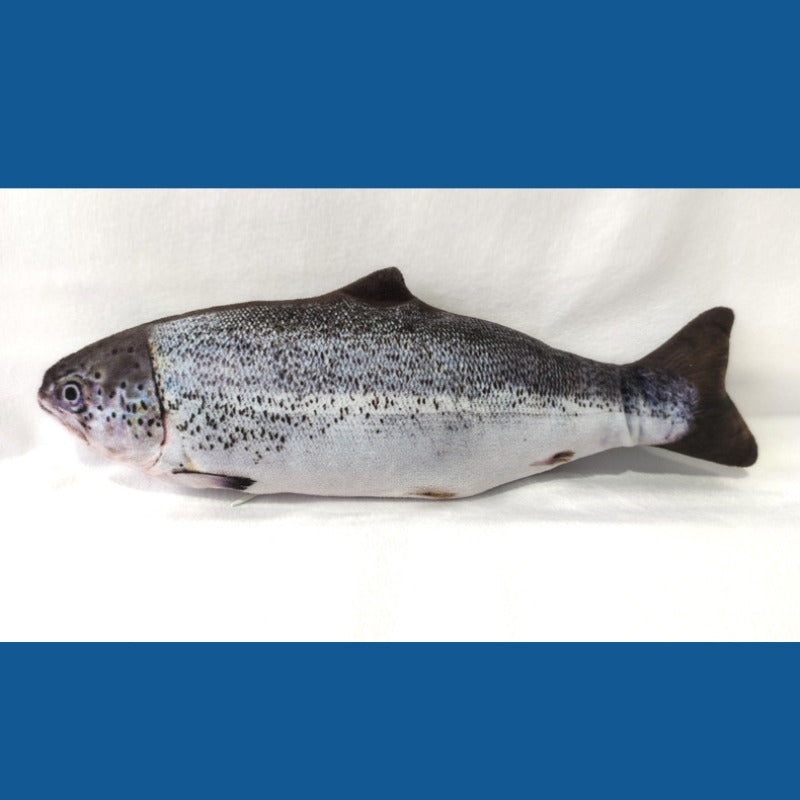 FloppyFish – Realistic Plush Cat Toy