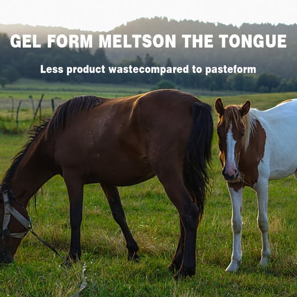 GuardianMectin - Anti-Parasite Horse Paste