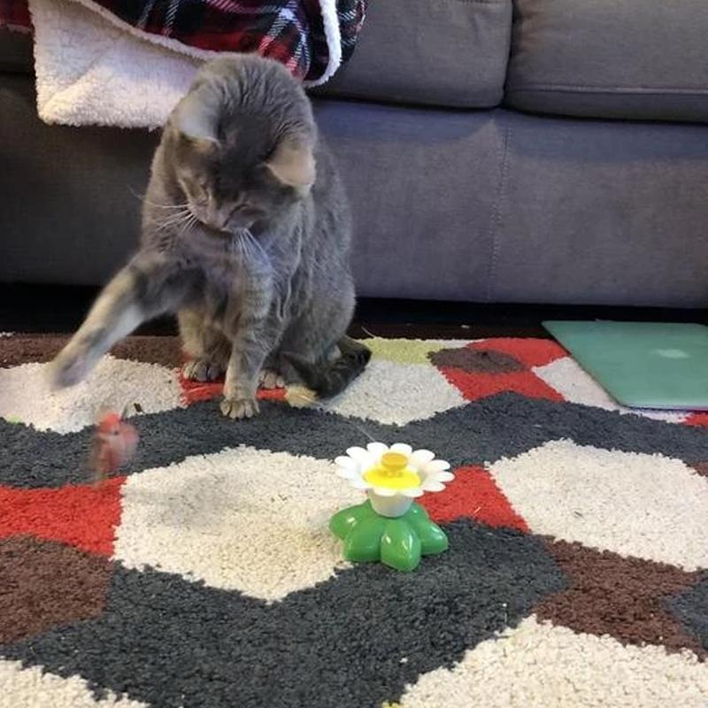 FeatherChase – Interactive Bird Cat Toy