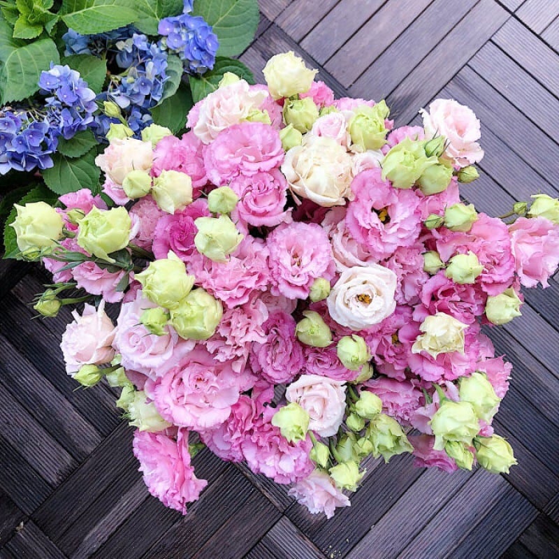 BloomHaven - Elegant Thornless Rose Seeds