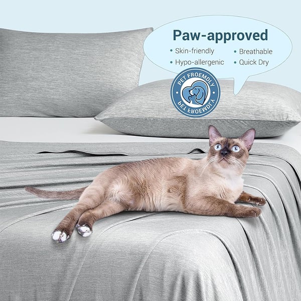 CoolBreeze – Ultimate Summer Cooling Blanket