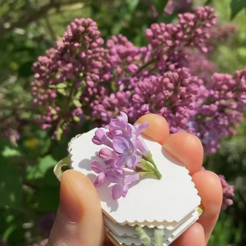 BloomLock - Handmade Portable Flower Press