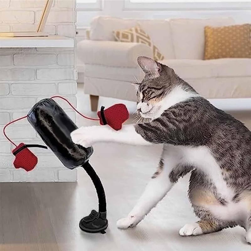 PawPunch – Interactive Cat Boxing Toy