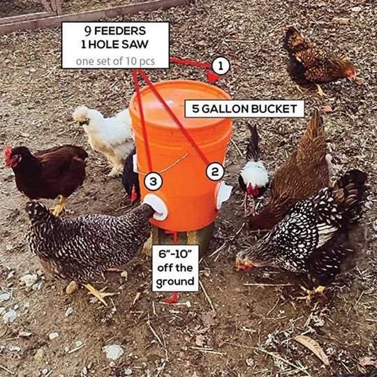 FeatherFlow – Mess Free DIY Chicken Feeder