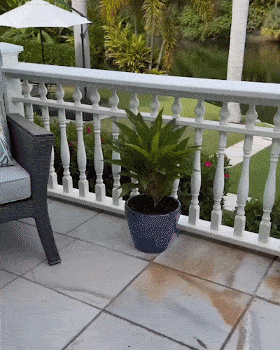 SunTrail – Outdoor Solar Garden Path Lights