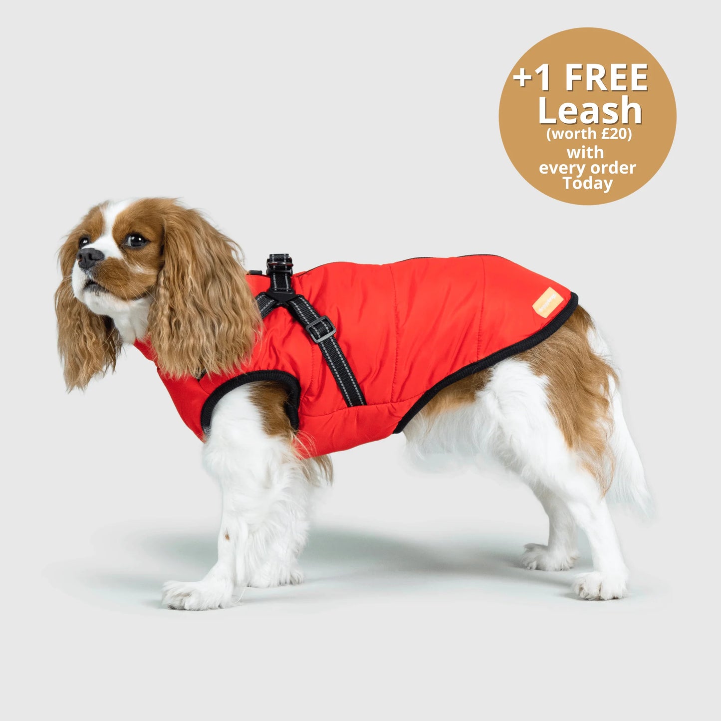 FurGuard – All-Weather 3-in-1 Dog Jacket