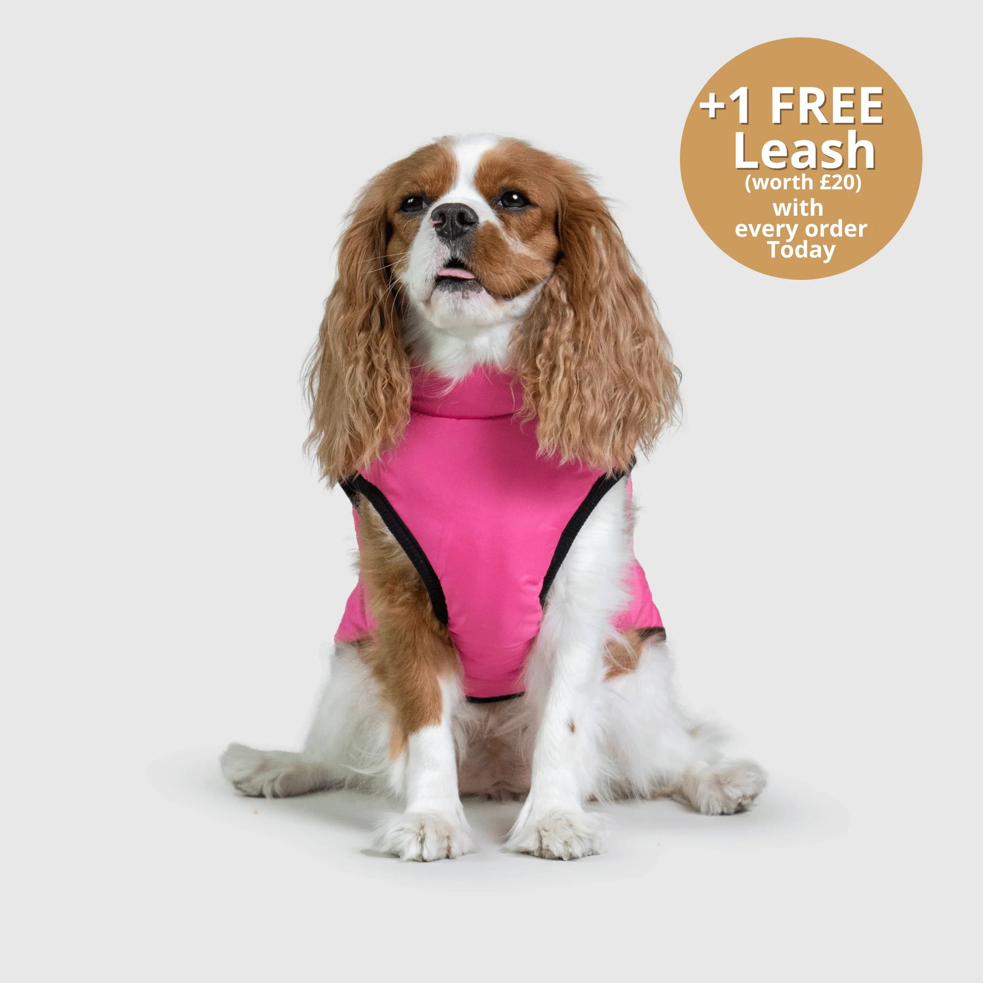FurGuard – All-Weather 3-in-1 Dog Jacket