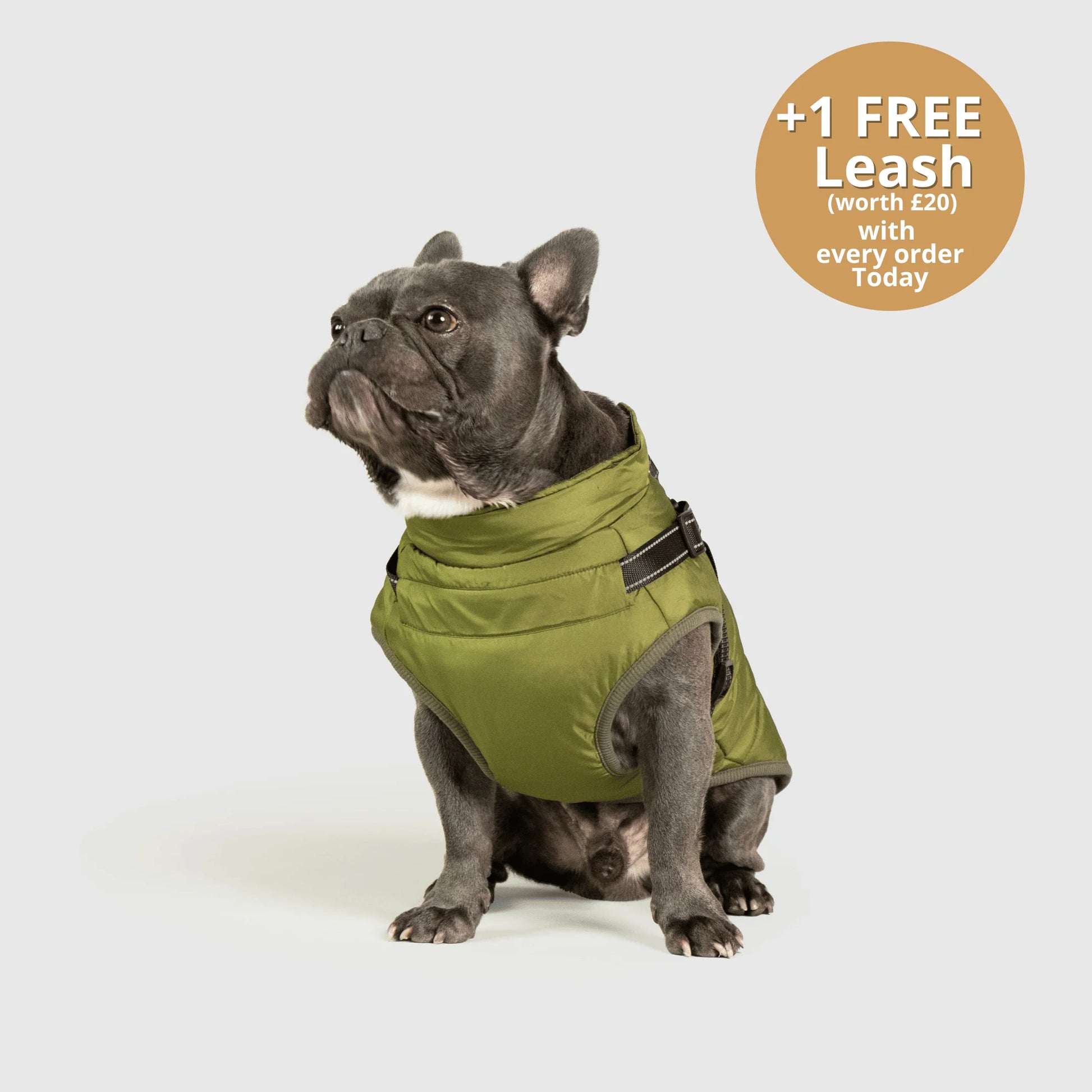 FurGuard – All-Weather 3-in-1 Dog Jacket