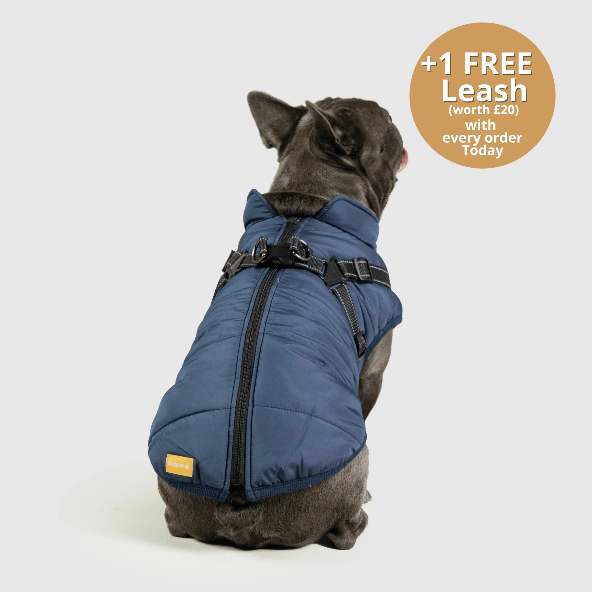 FurGuard – All-Weather 3-in-1 Dog Jacket