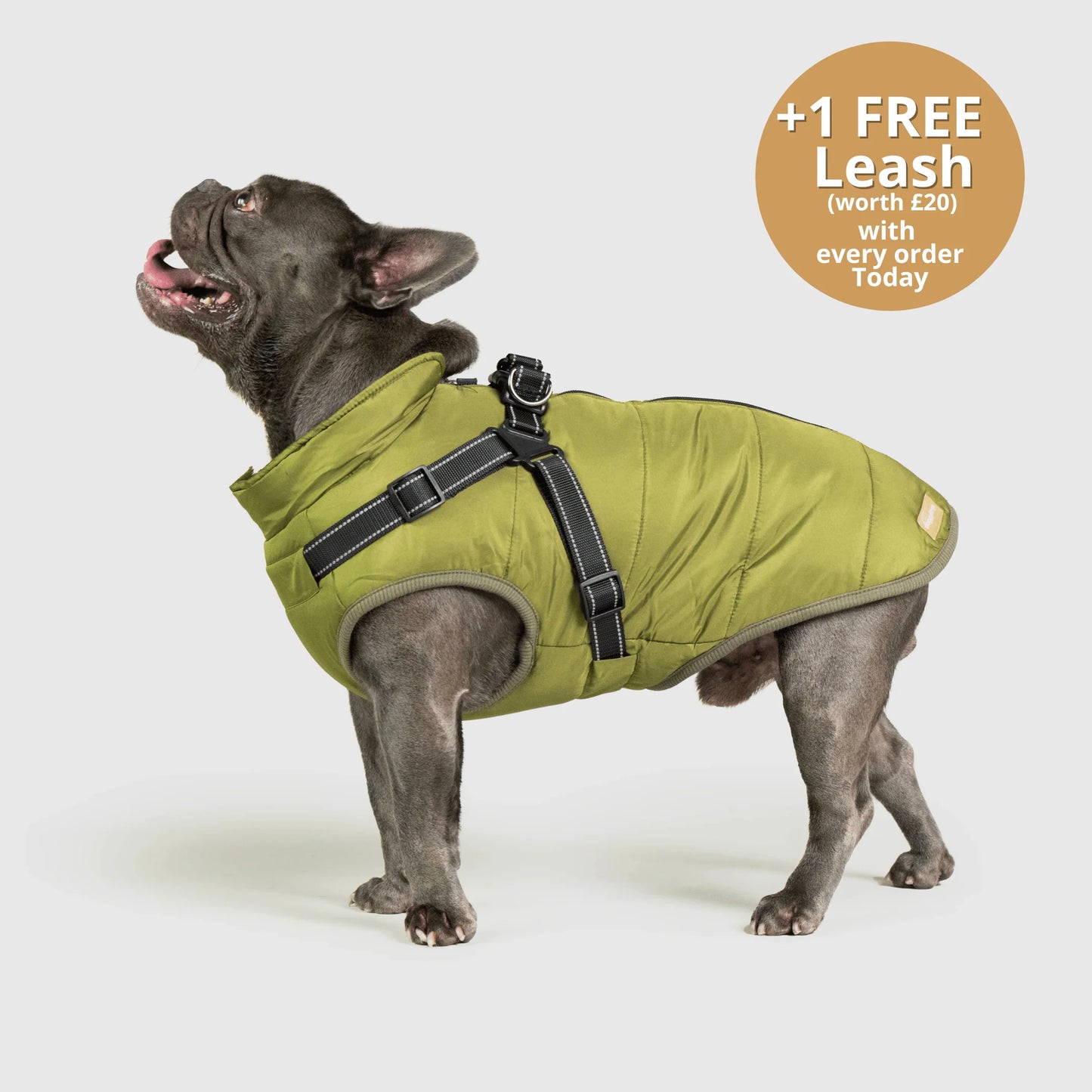FurGuard – All-Weather 3-in-1 Dog Jacket