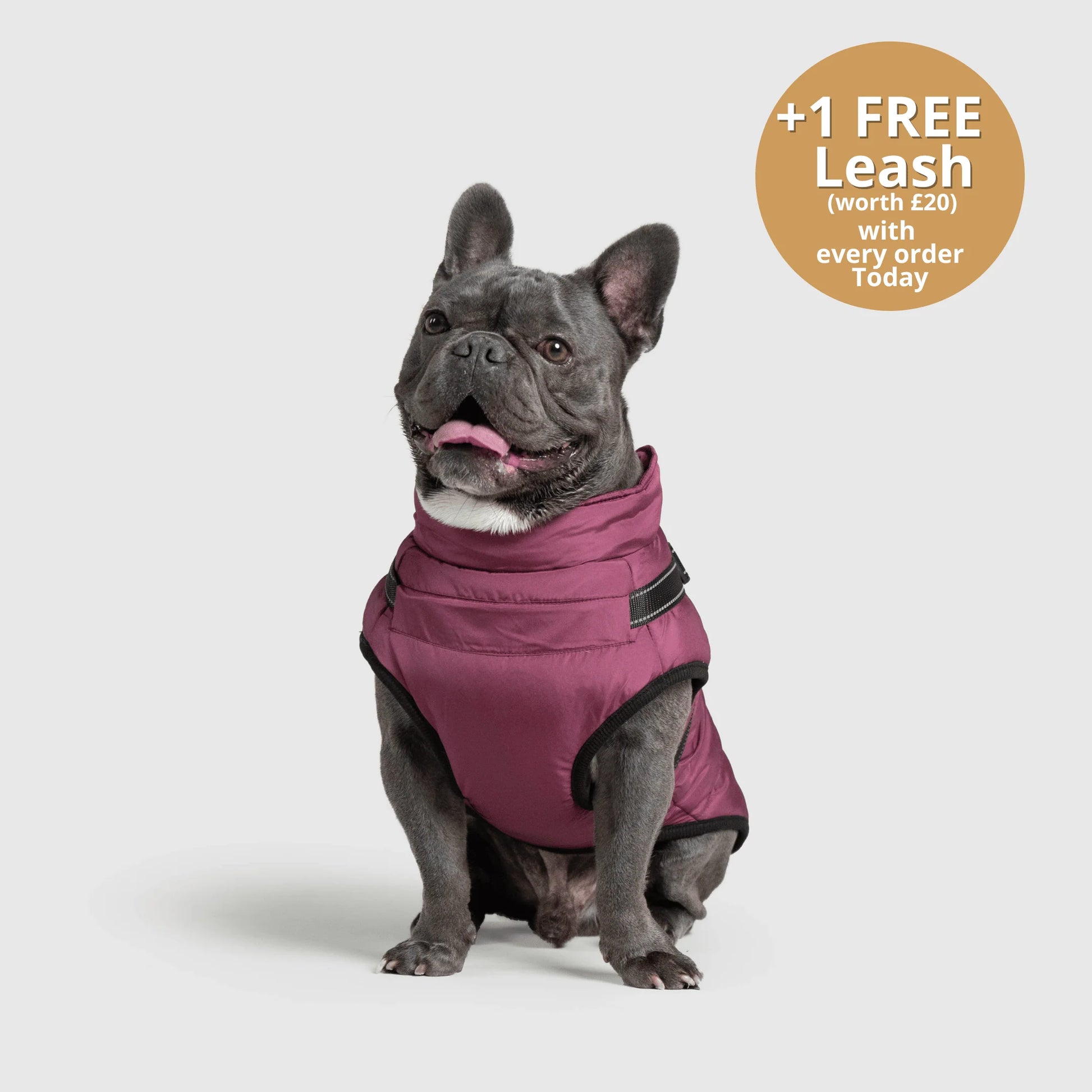 FurGuard – All-Weather 3-in-1 Dog Jacket