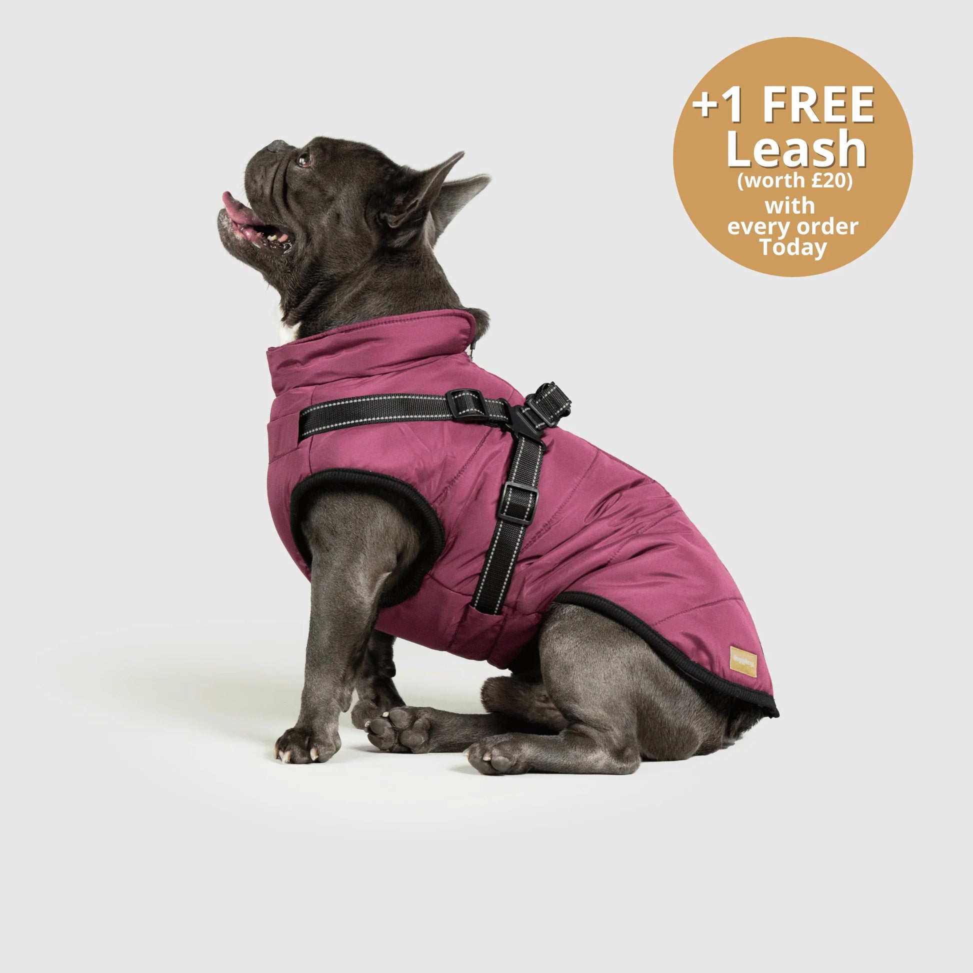 FurGuard – All-Weather 3-in-1 Dog Jacket
