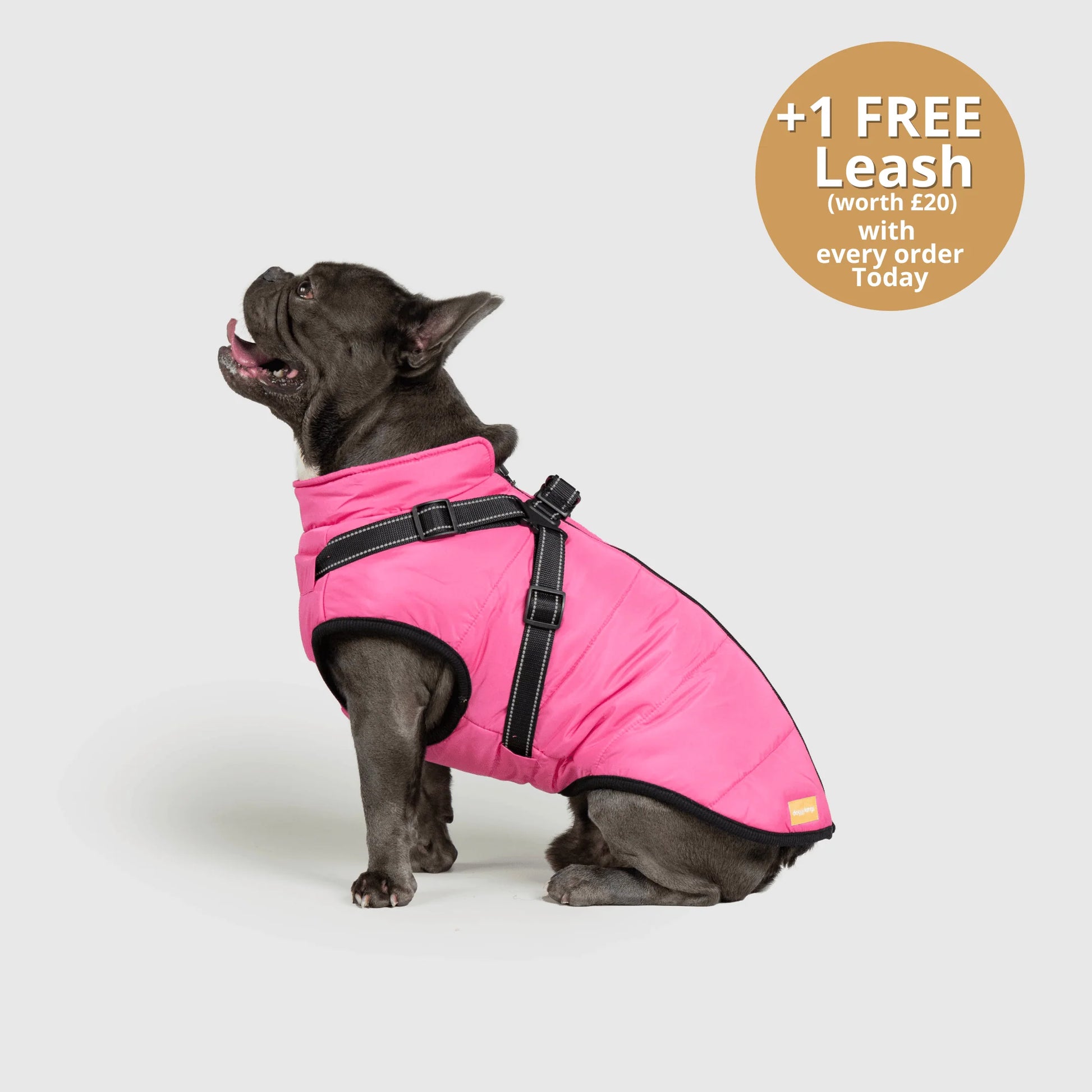 FurGuard – All-Weather 3-in-1 Dog Jacket