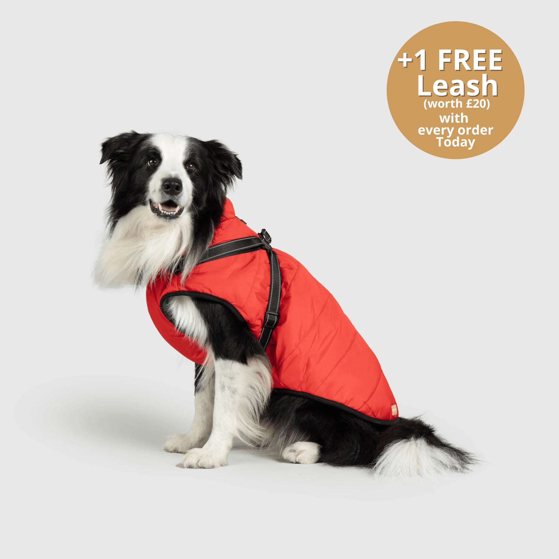 FurGuard – All-Weather 3-in-1 Dog Jacket
