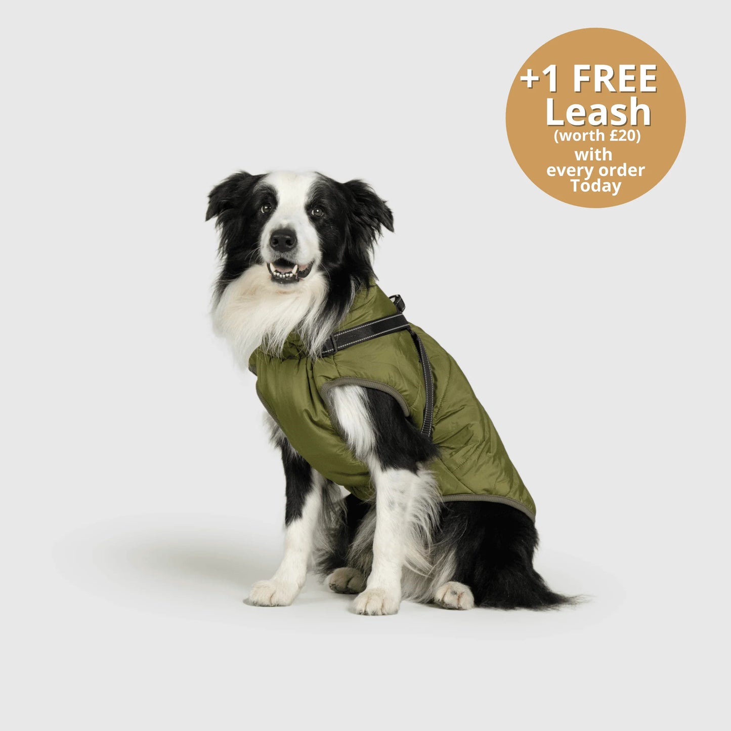 FurGuard – All-Weather 3-in-1 Dog Jacket