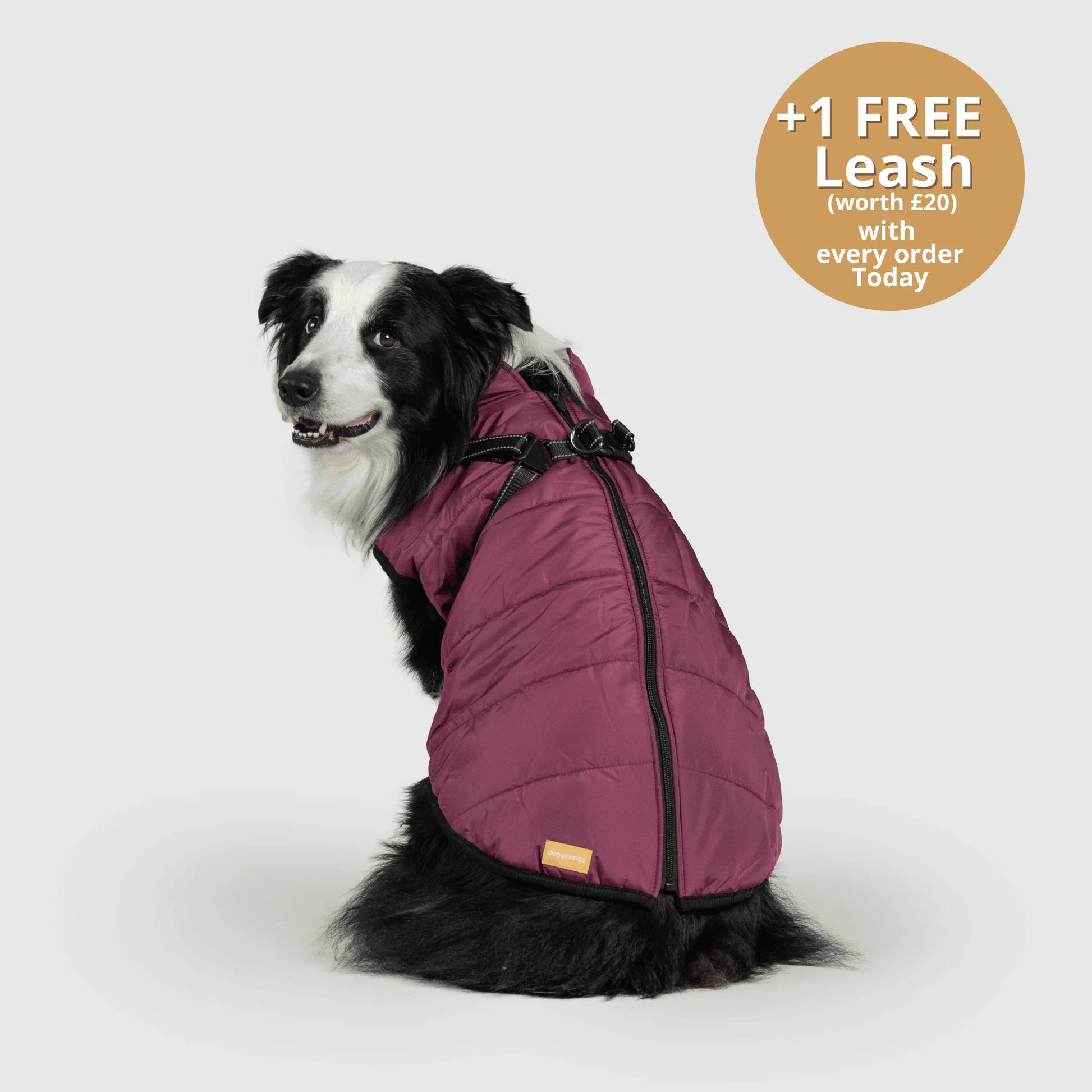 FurGuard – All-Weather 3-in-1 Dog Jacket