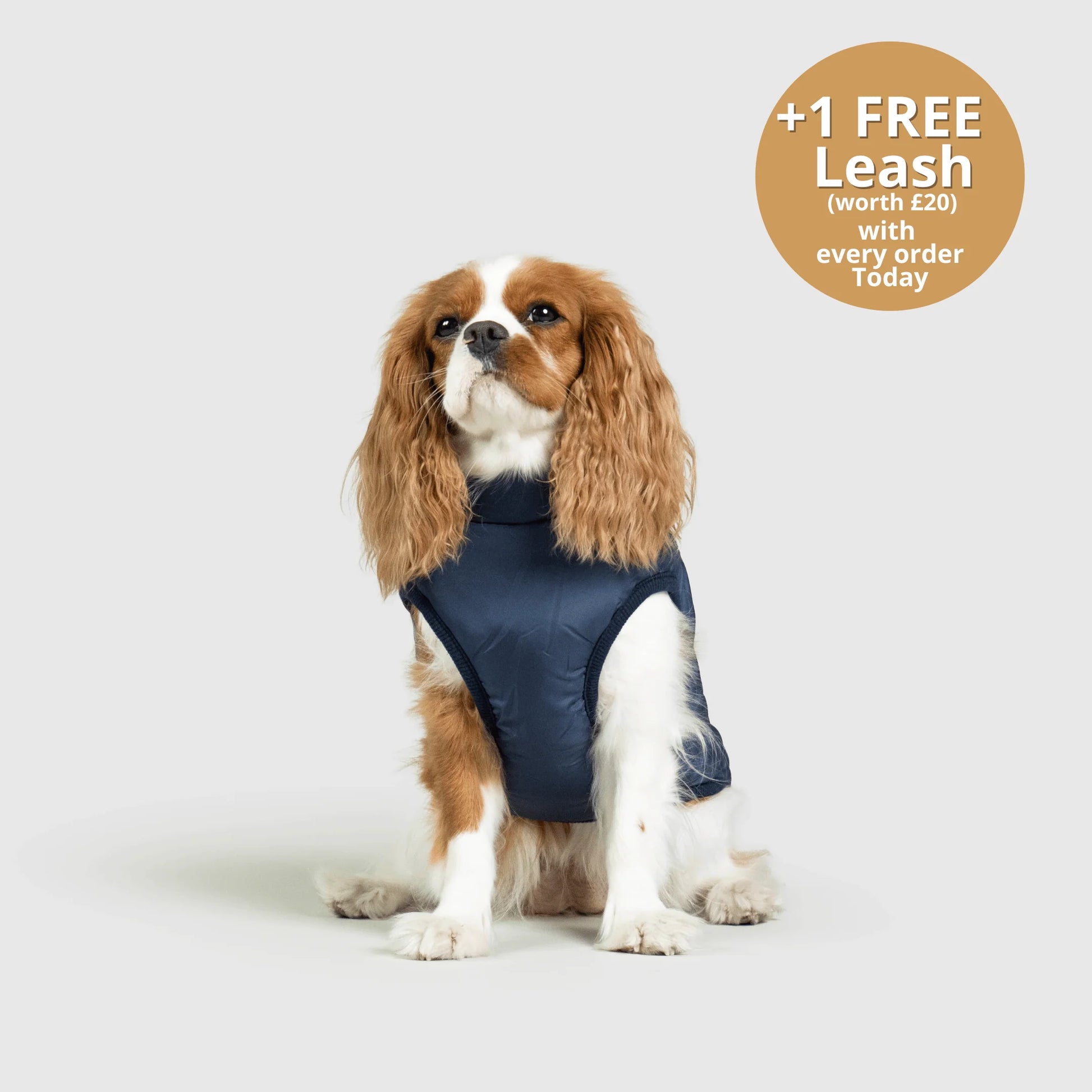FurGuard – All-Weather 3-in-1 Dog Jacket