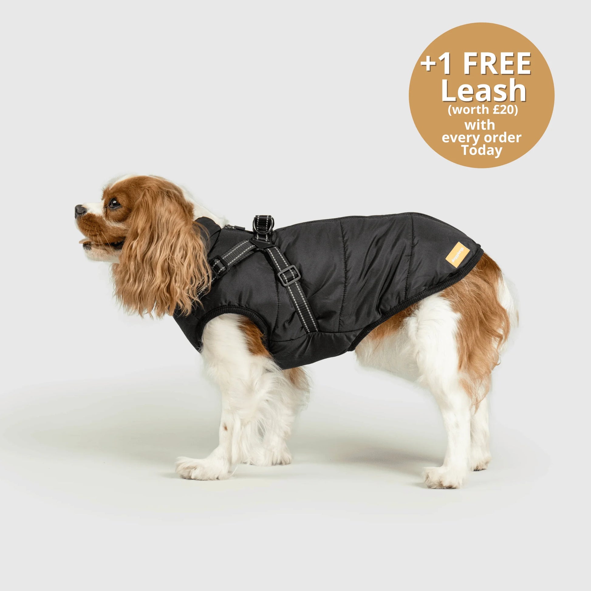 FurGuard – All-Weather 3-in-1 Dog Jacket