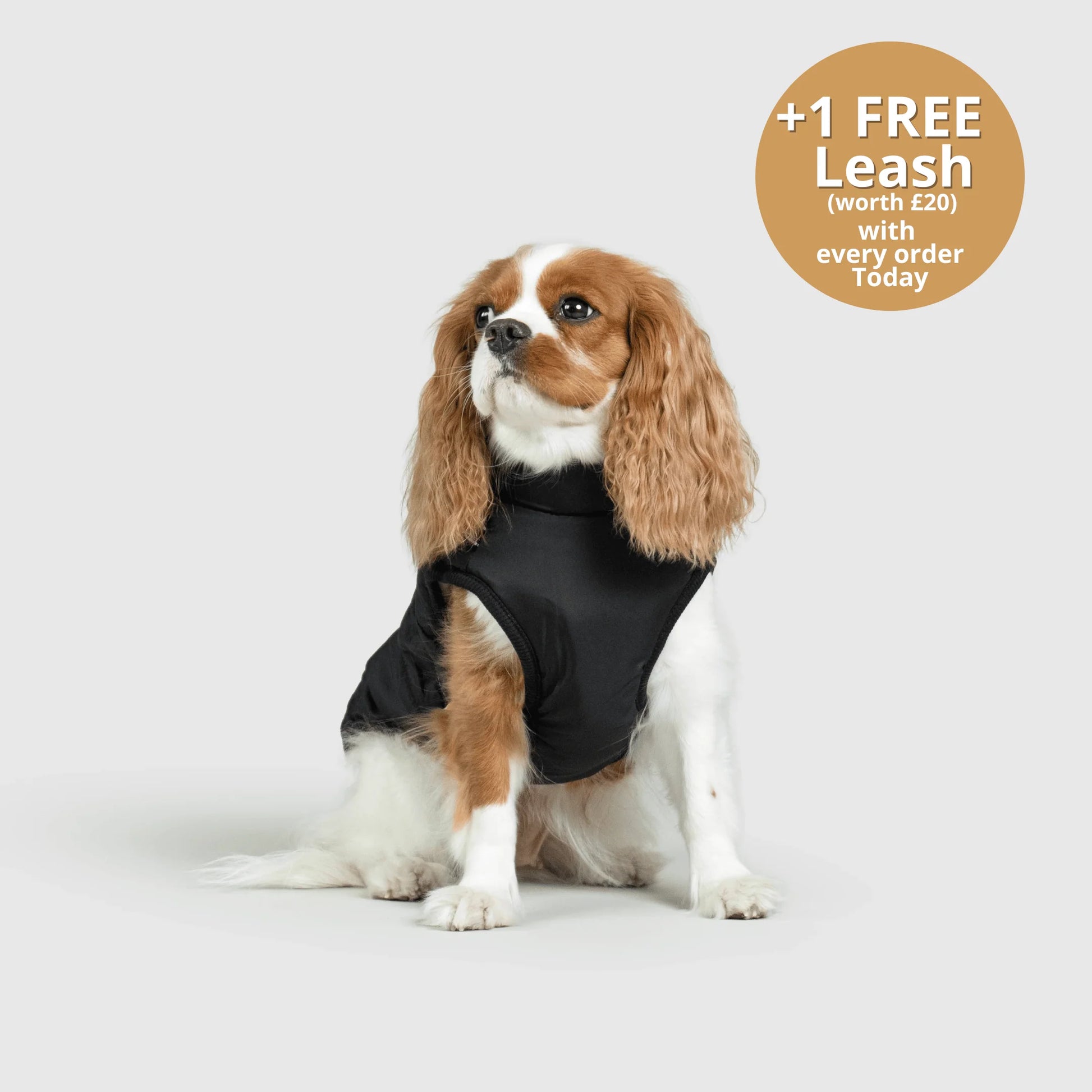 FurGuard – All-Weather 3-in-1 Dog Jacket