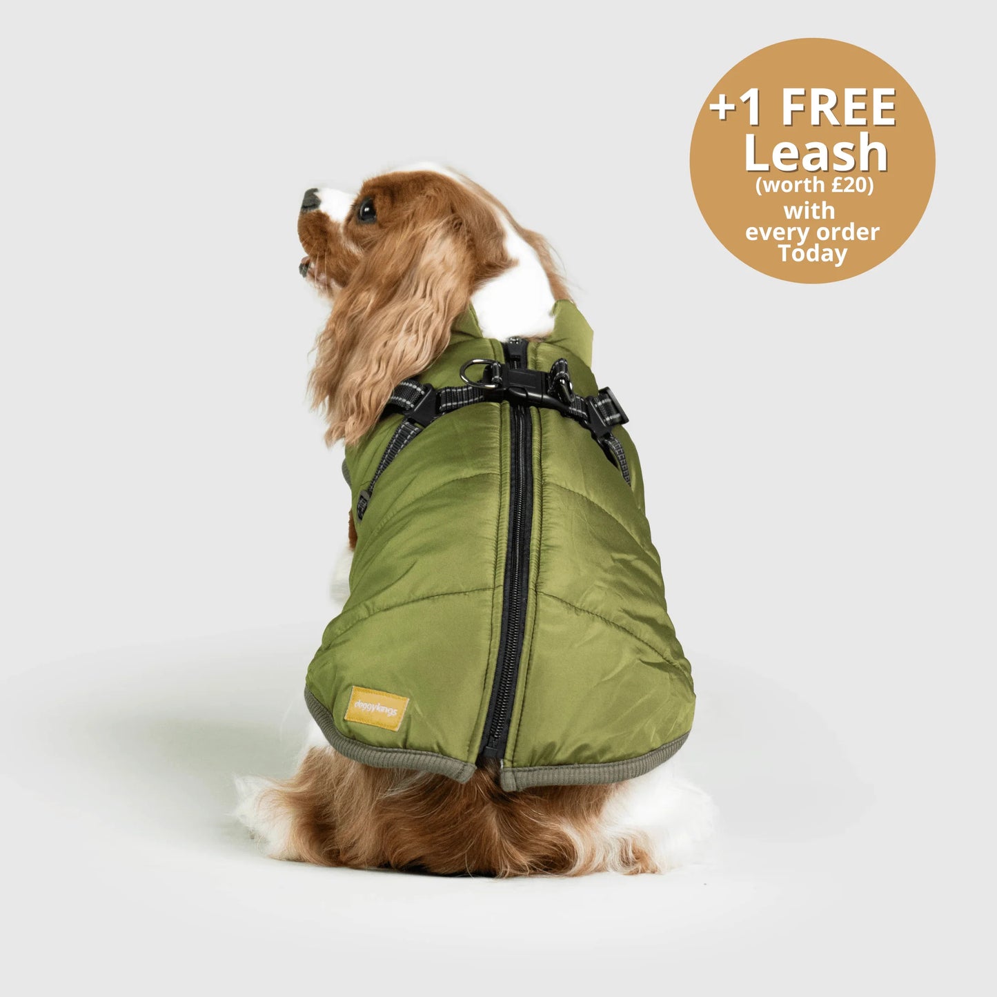 FurGuard – All-Weather 3-in-1 Dog Jacket