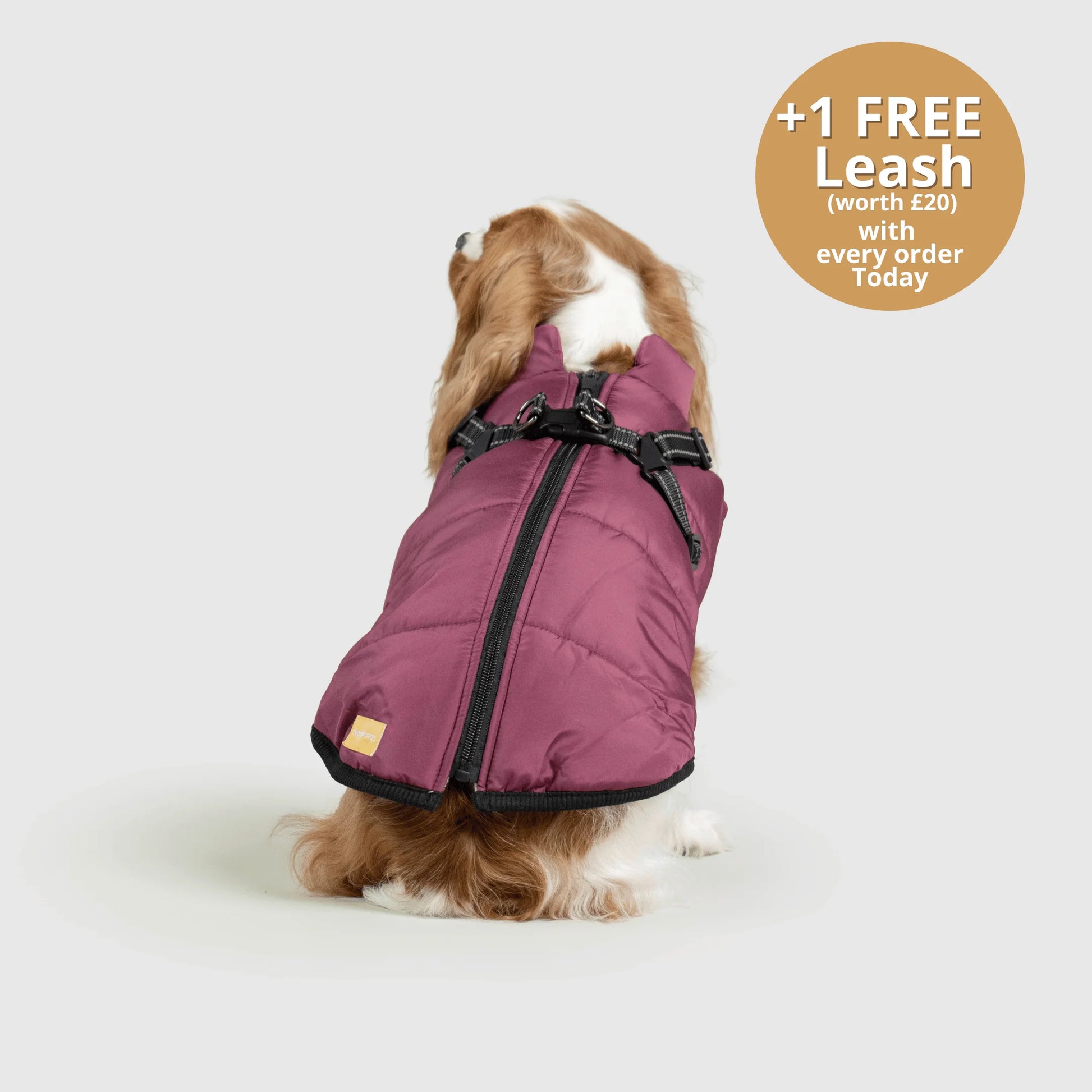 FurGuard – All-Weather 3-in-1 Dog Jacket