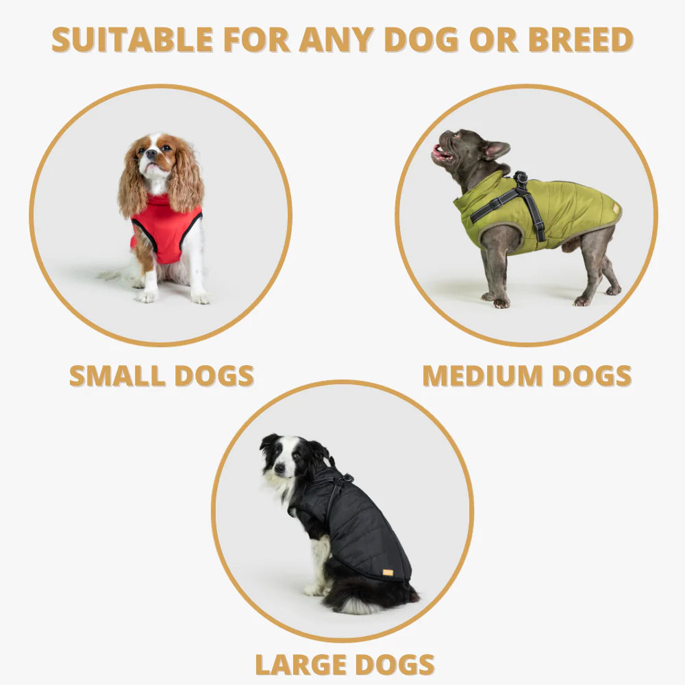 FurGuard – All-Weather 3-in-1 Dog Jacket
