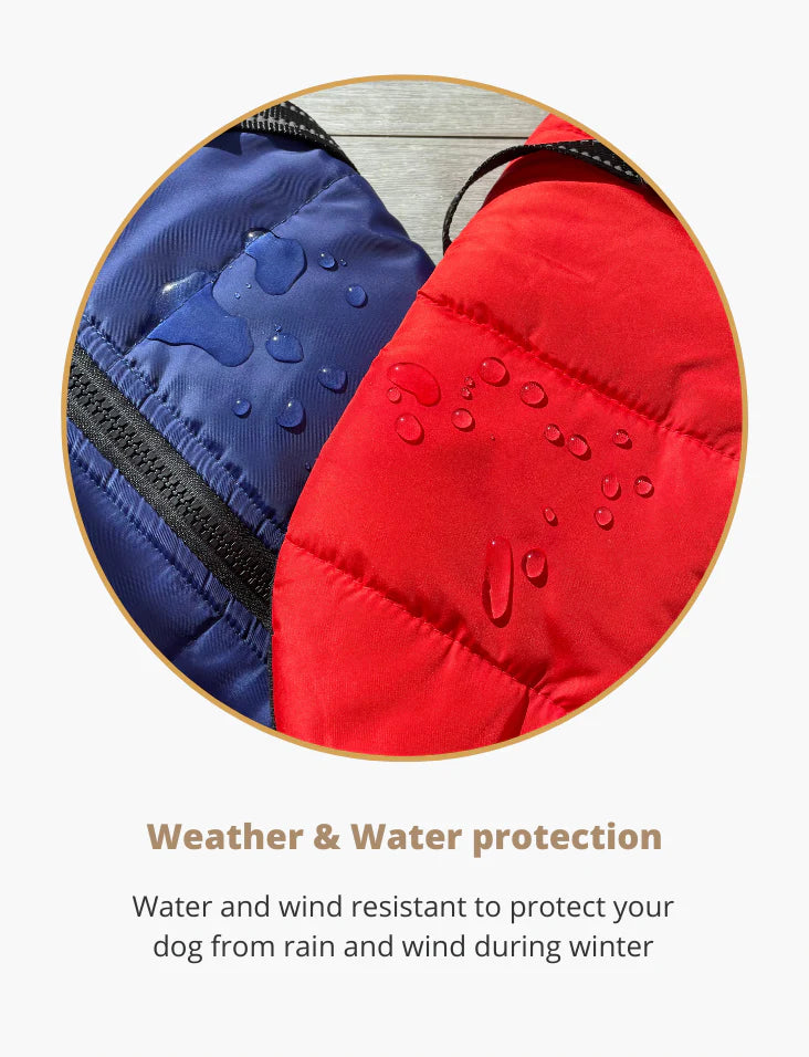 FurGuard – All-Weather 3-in-1 Dog Jacket