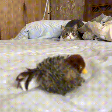 ChirpPaws – Interactive Bird Cat Toy