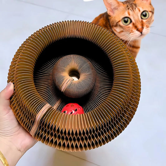 Kitty Kurlz – Playful Curls for Happy Cats