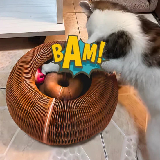Kitty Kurlz – Playful Curls for Happy Cats