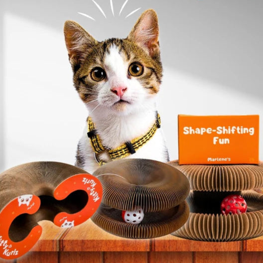 Kitty Kurlz – Playful Curls for Happy Cats