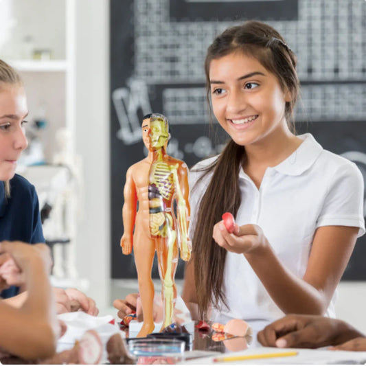 Organix – Hands On Anatomy Adventure