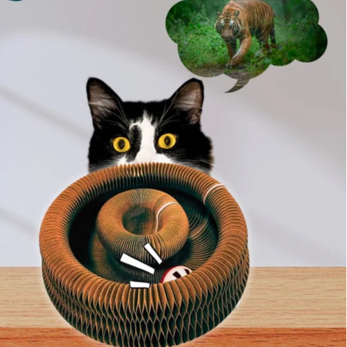Kitty Kurlz – Playful Curls for Happy Cats