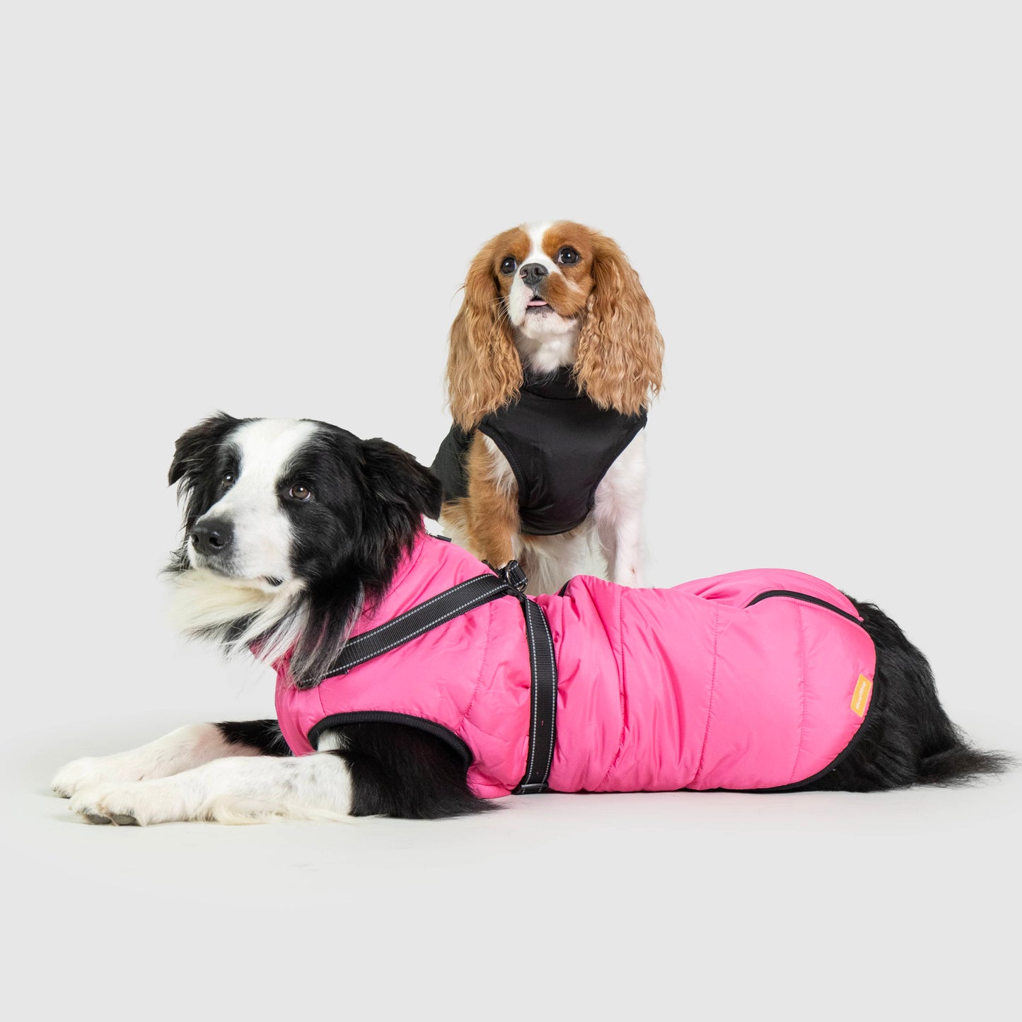 FurGuard – All-Weather 3-in-1 Dog Jacket