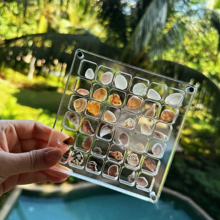 AquaFrame – Acrylic Display Case for Seashell Treasures